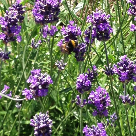 H&M Floral Dress - Picture 9 of 10
